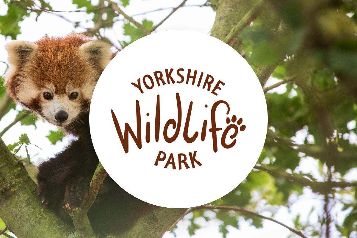 Attractions.io Yorkshire Wildlife Park! — Attractions.io Blog